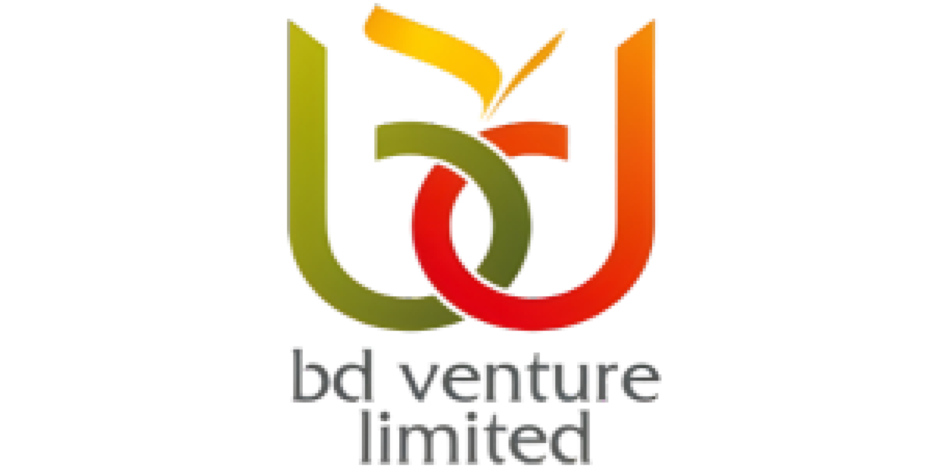 BD Venture Limited